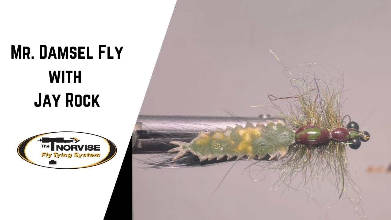 Mr  Damsel Fly with Jay Rock of @finfeederfishing3842