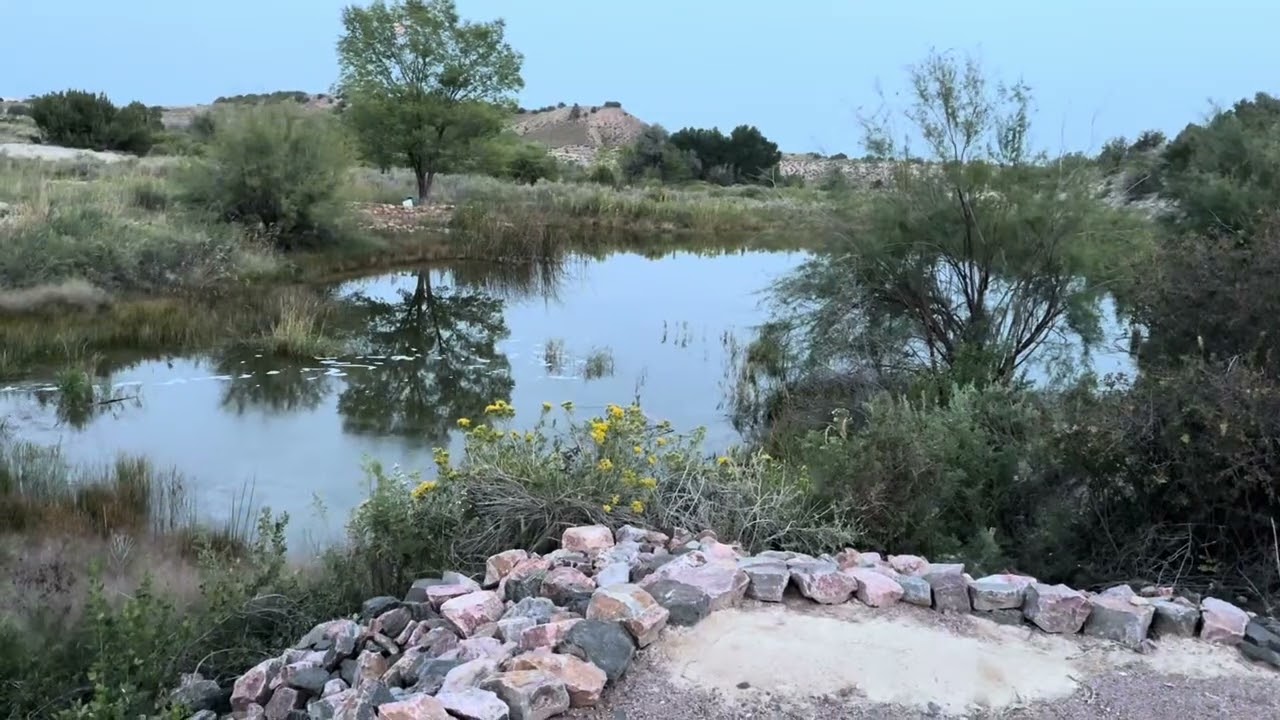 Summer at Lost Pond wedding venue before we had anything built. #coloradowedding 