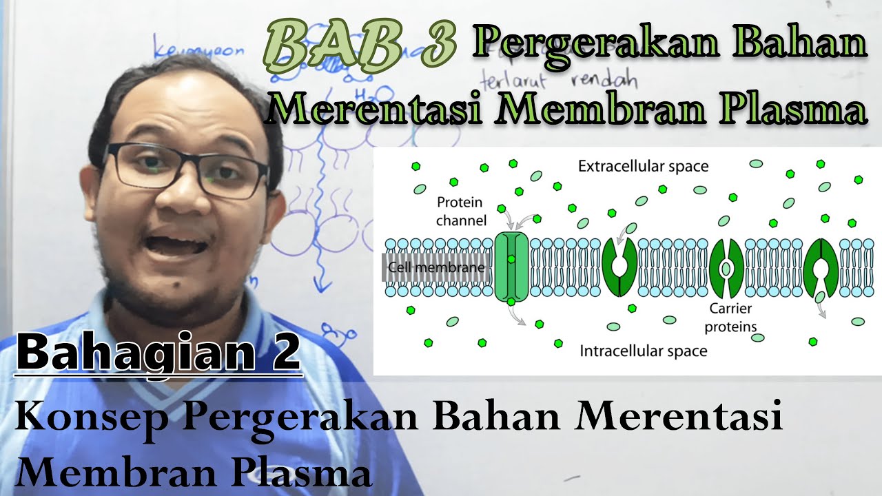KSSM Bio Ting. 4  - Bab 3 - Pergerakan Bahan Merentasi Membran (Part 2: Konsep Pergerakan)