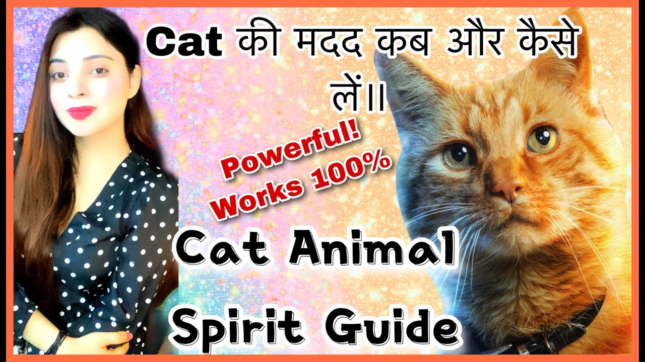 HELP FROM CAT ANIMAL SPIRIT GUIDE-Invoke cat CHANGE YOUR LIFE -CAT MAGIC BEGIN NOW WHEN TO CALL