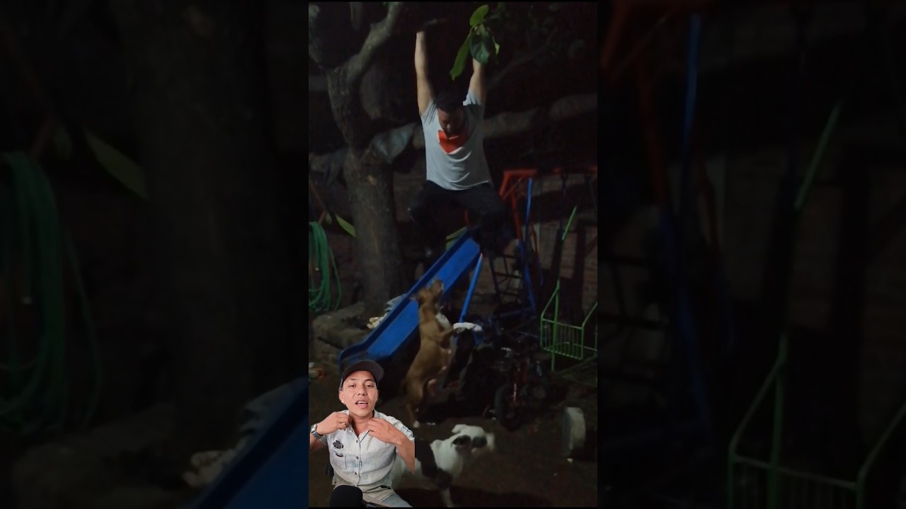 la pi&ntilde;ata humana este ladr&oacute;n no se lo esperaba 🤣🤣🤣🤣 #viralvideo #memes #humor #video #subscribe #1v1