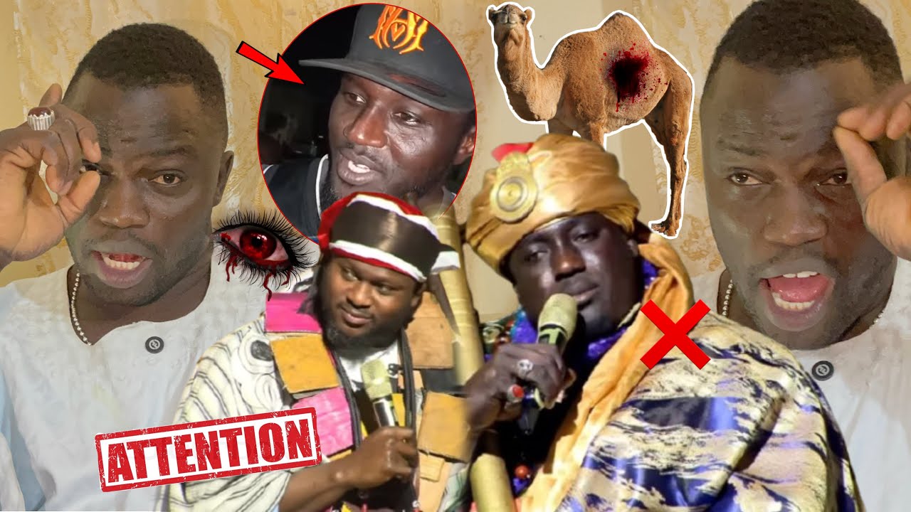 Aah li d’où diamou combat bi diarna tiit, Après F2F Sa-Thies vs Modou Lô…5 Tonnes tacle Balla Gaye 2