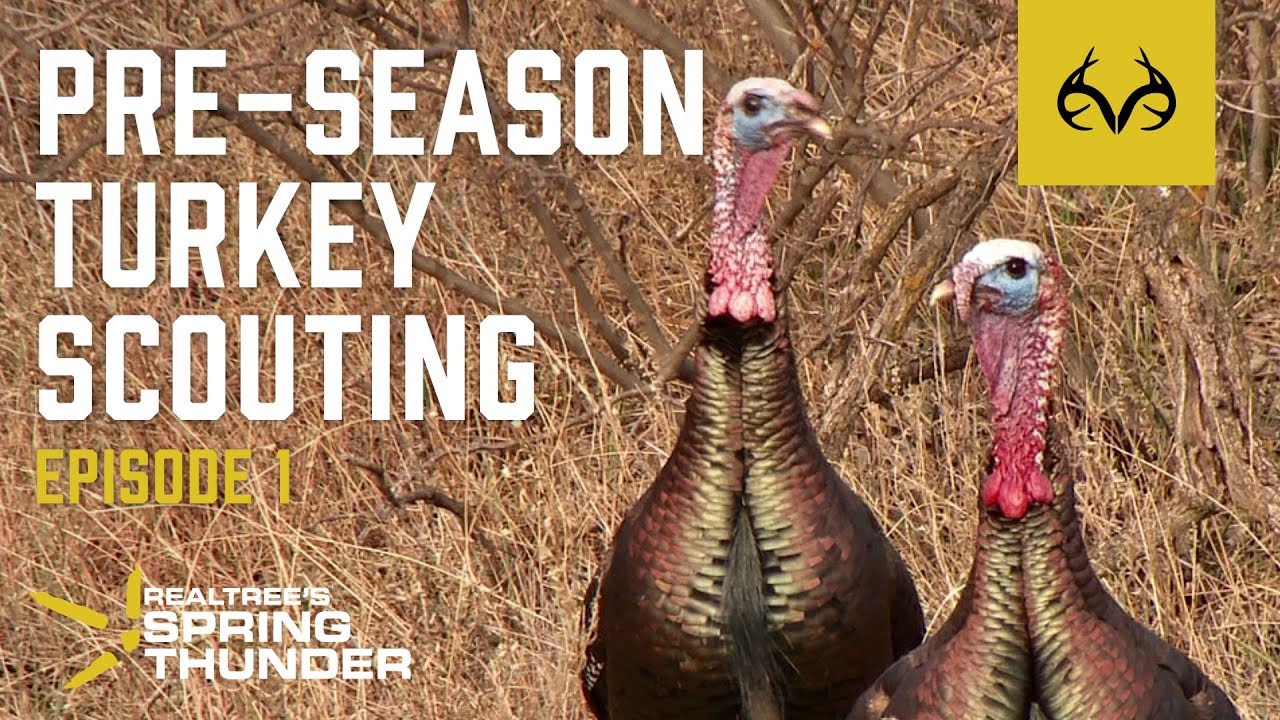 Spring Thunder Episode 1 | Best Tips For Pre-Season Turkey Scouting