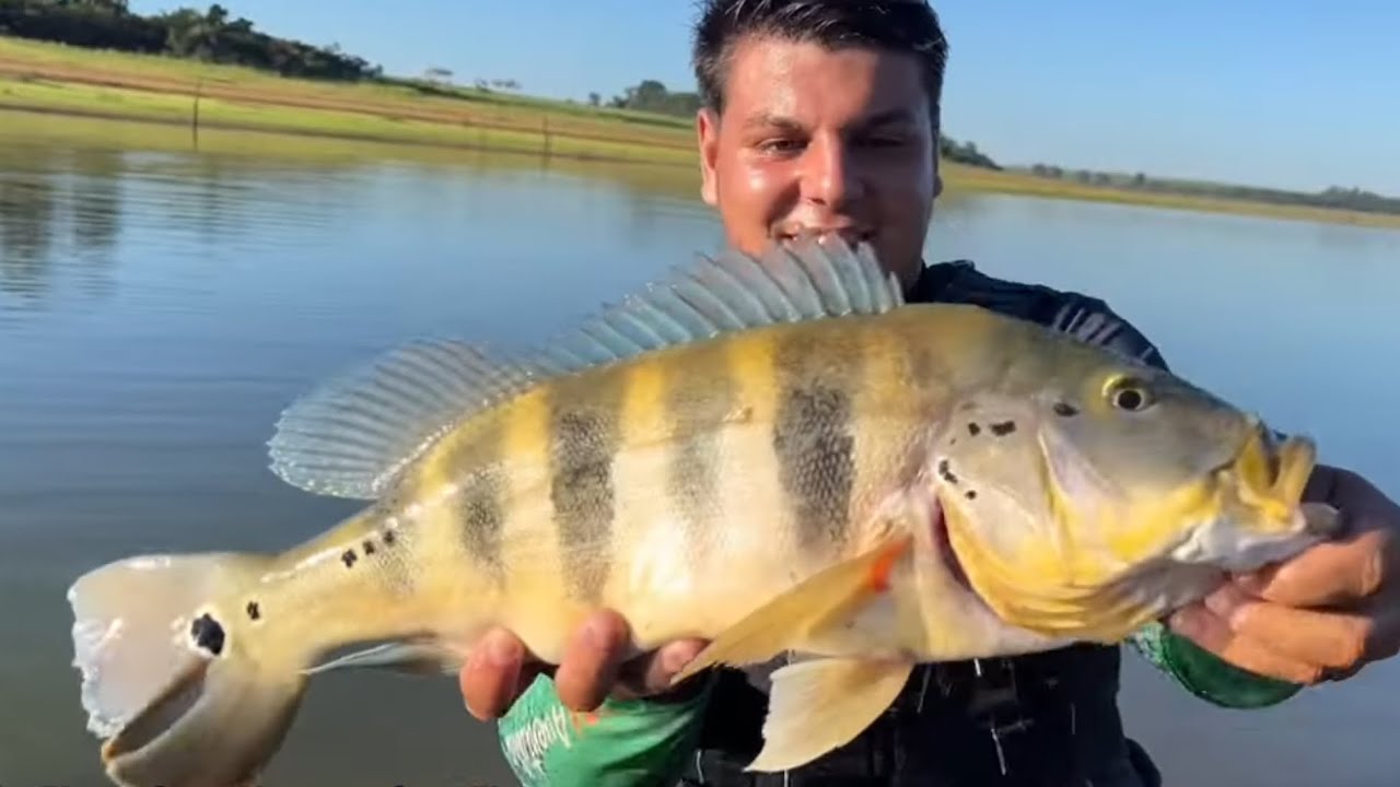 AZULÃO GIGANTE NO PORTÃO DE FERRO EM GUARACI/SP #pesca