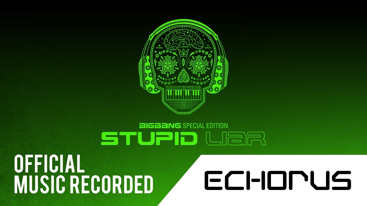 BIGBANG - STUPID LIAR (Official Music Recorded)