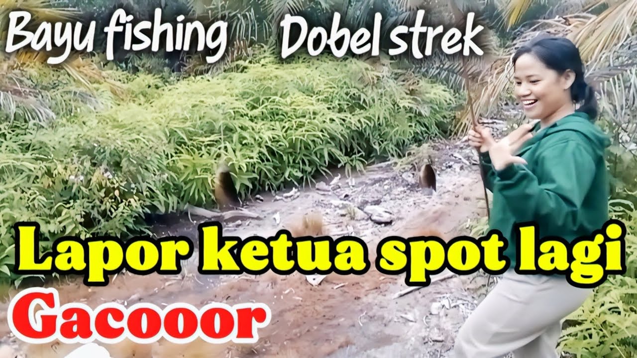 Lapor ketua spot lagi gacooor ketua 