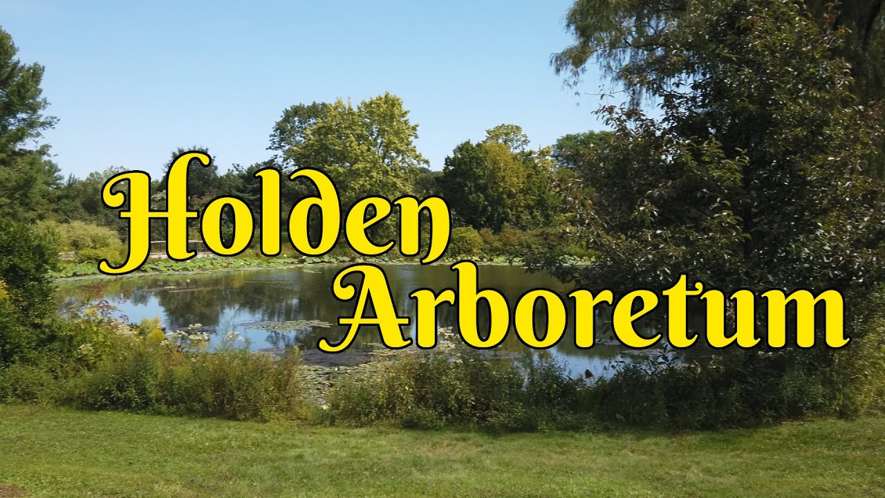 Holden Arboretum visit, Solarpunk Life