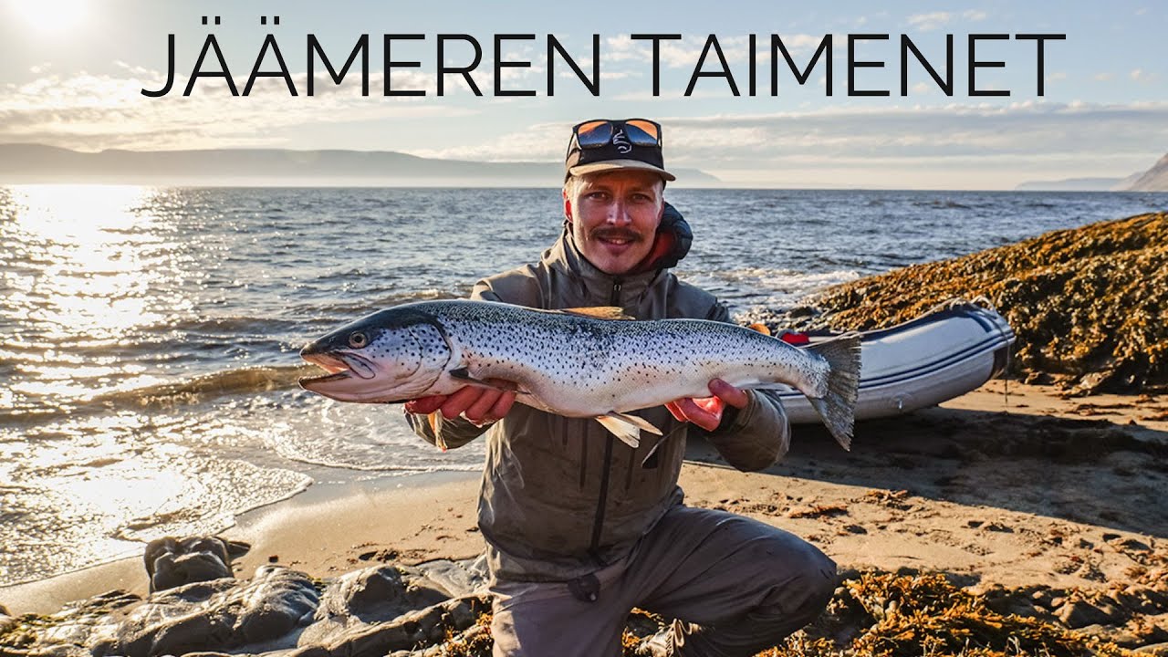 Jäämeren taimenet hurjana - Norja ei pettänyt taaskaan