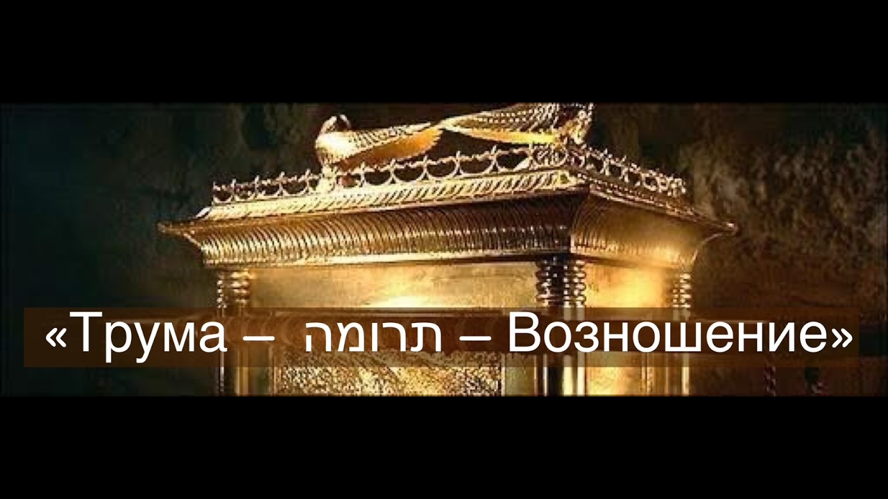 Недельная глава Торы:  