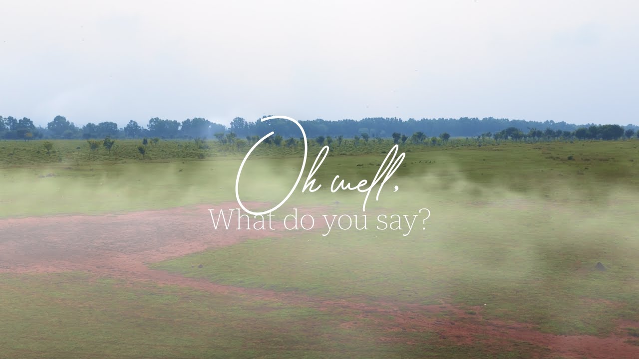 OH WELL, WHAT DO YOU SAY?