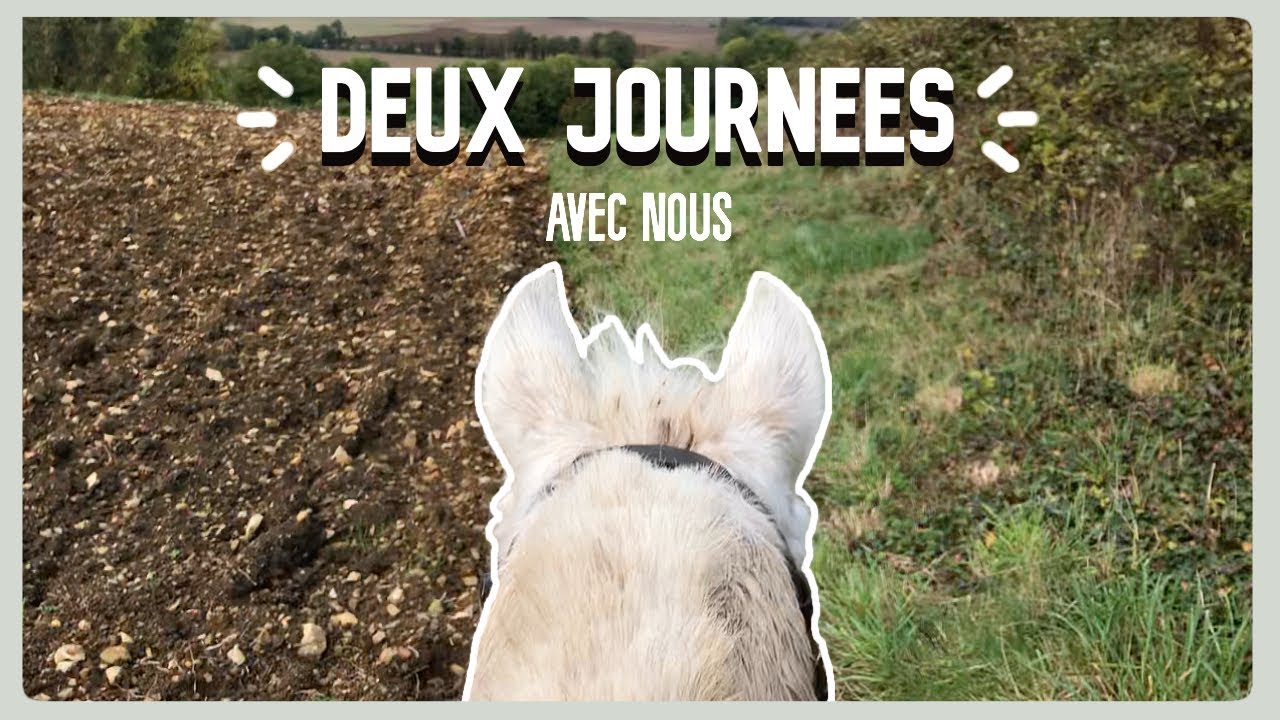 VLOG #1  - Unboxing, Dressage, Saut, Balade 🍃📦