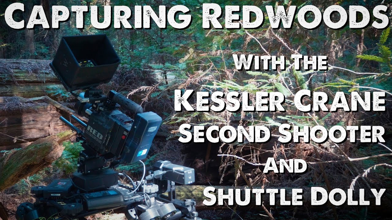 Capturing Redwoods With The Kessler Crane Shuttle Dolly and the Second Shooter Plus