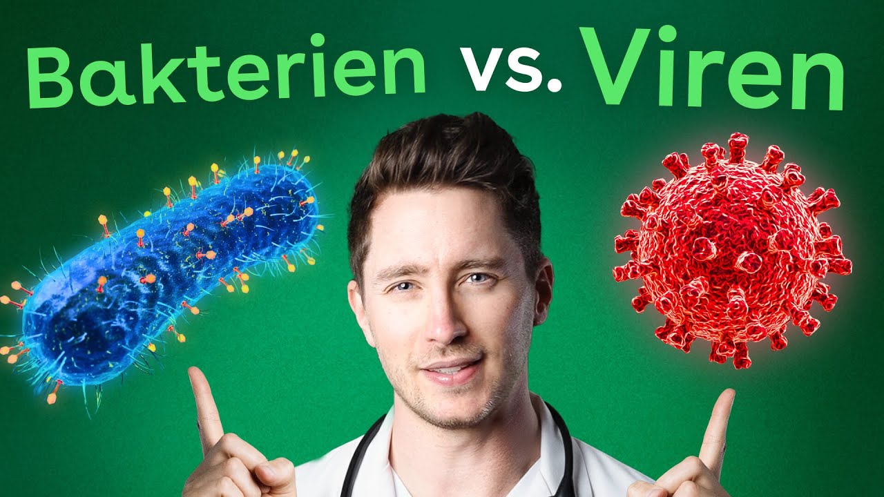 Viren vs. Bakterien: Was ist der Unterschied?