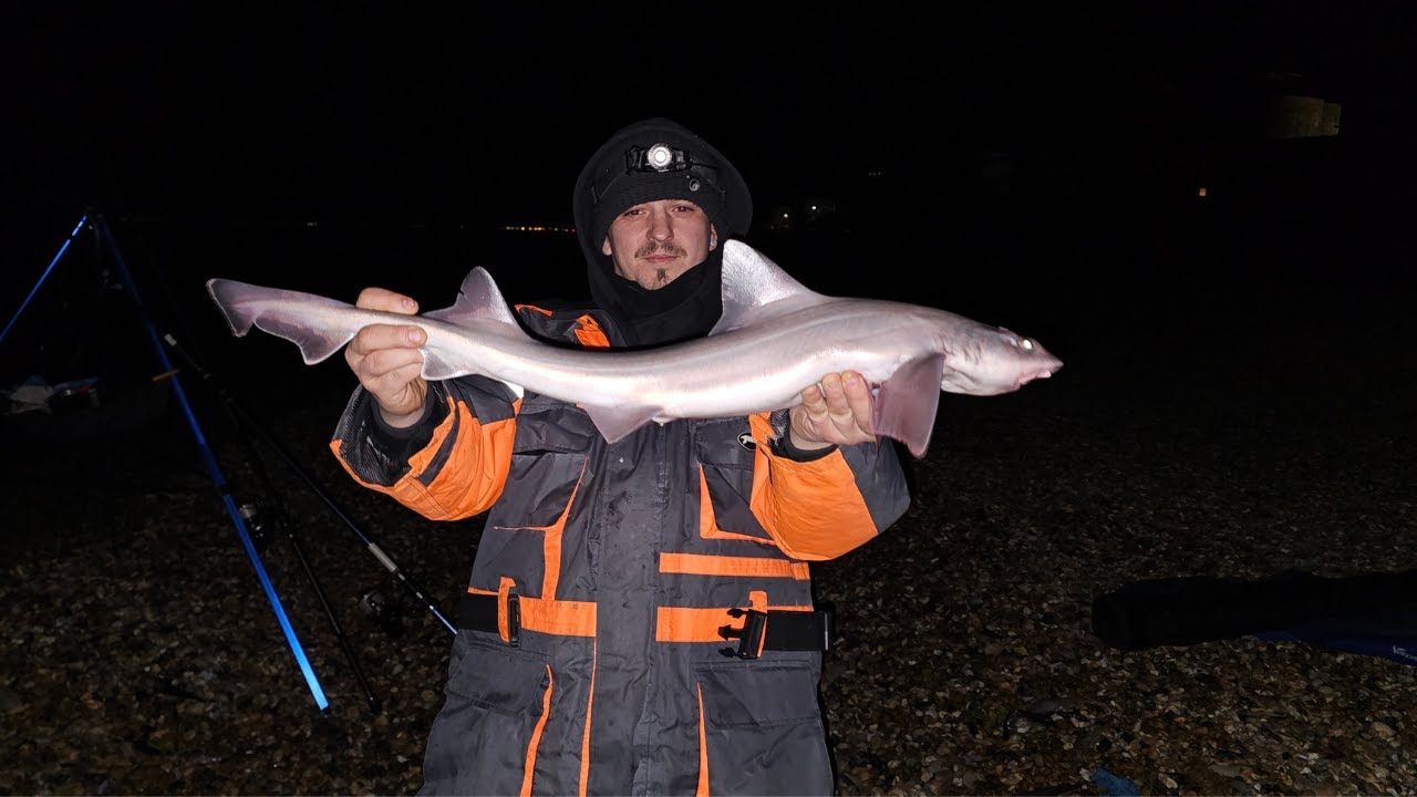 Sea Fishing Sandgate Castle Kent