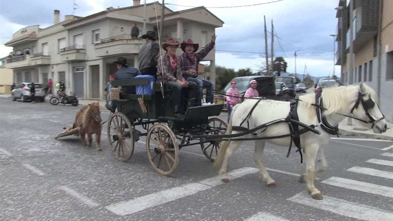 Fem una ullada: Carnaval de Deltebre 2016