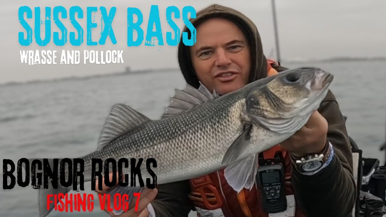 Bass, Pollock and Wrasse fishing over Bognor Rocks - a cracking Day on the reef!