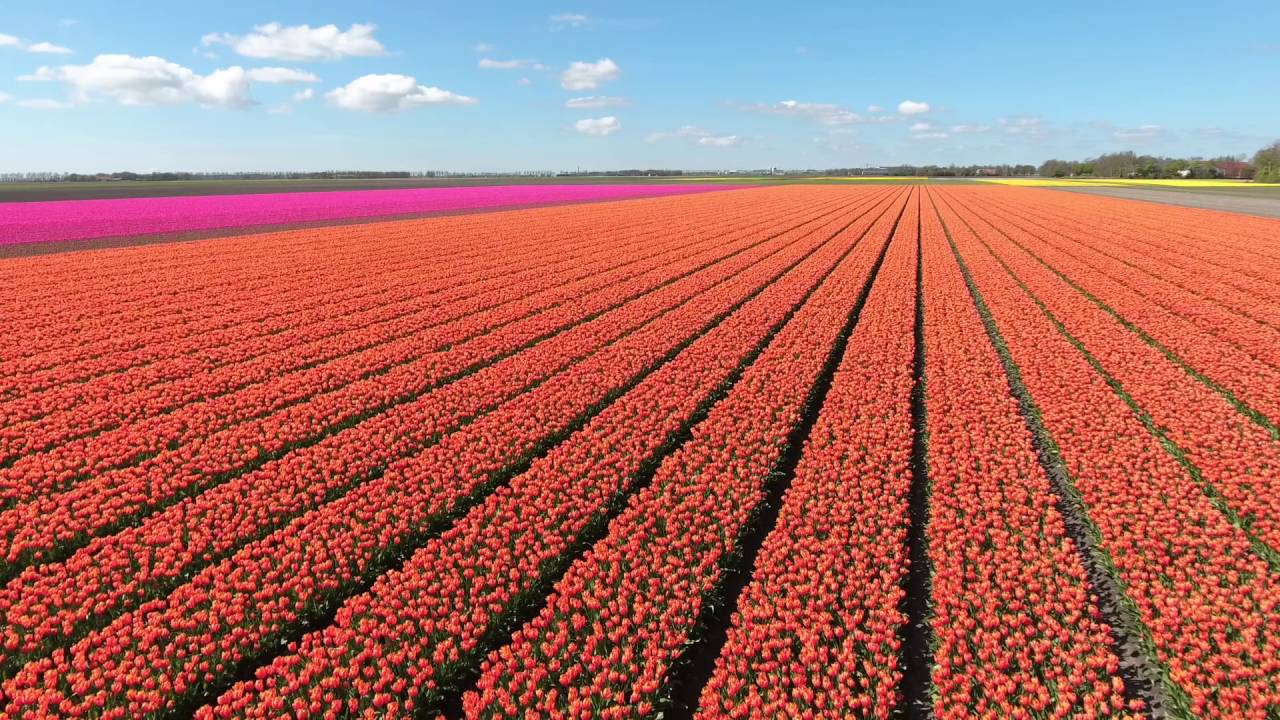 De Noordoostpolder op zijn mooist