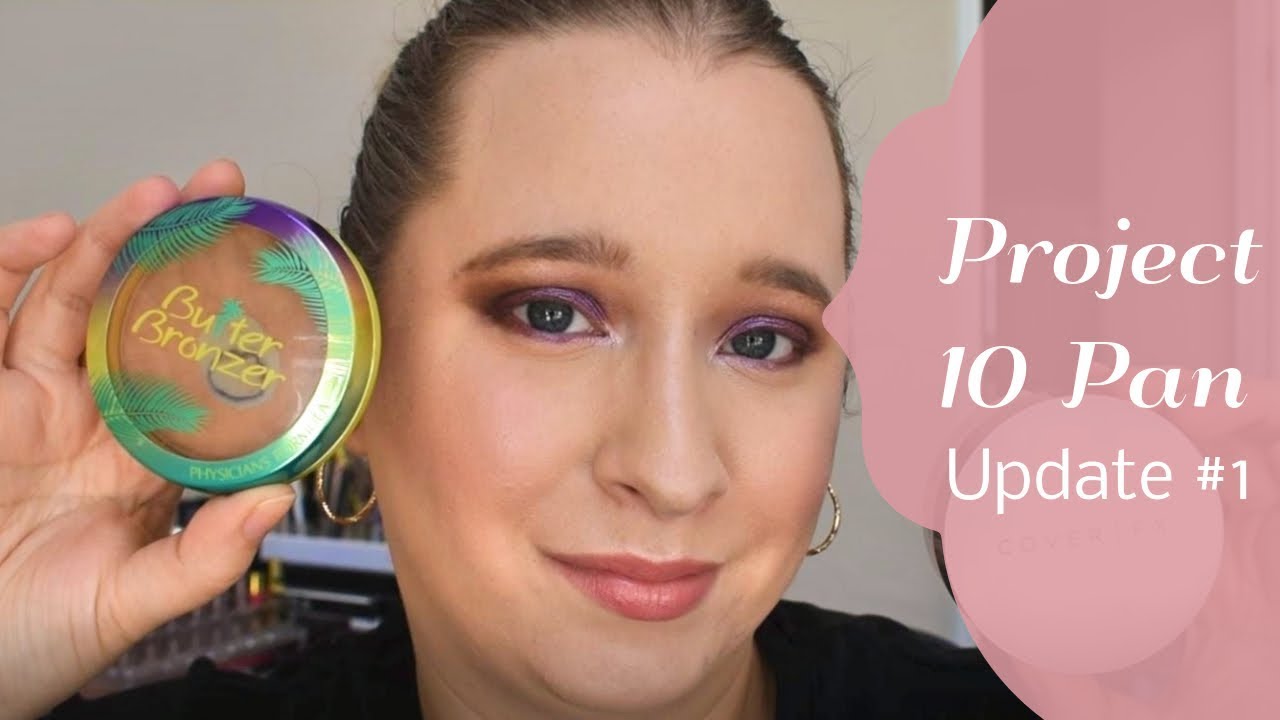 Project 10 Pan | Update #1