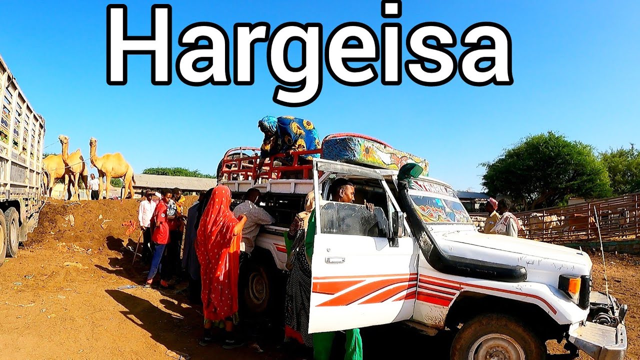 Suuqa Xoolaha Hargeisa 2024