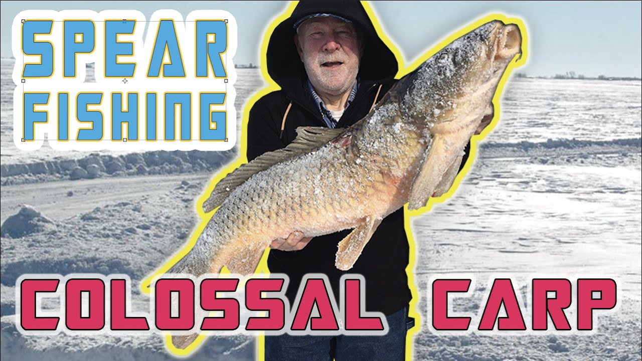 Try This - Spearing Giant Carp - Wild Dakota