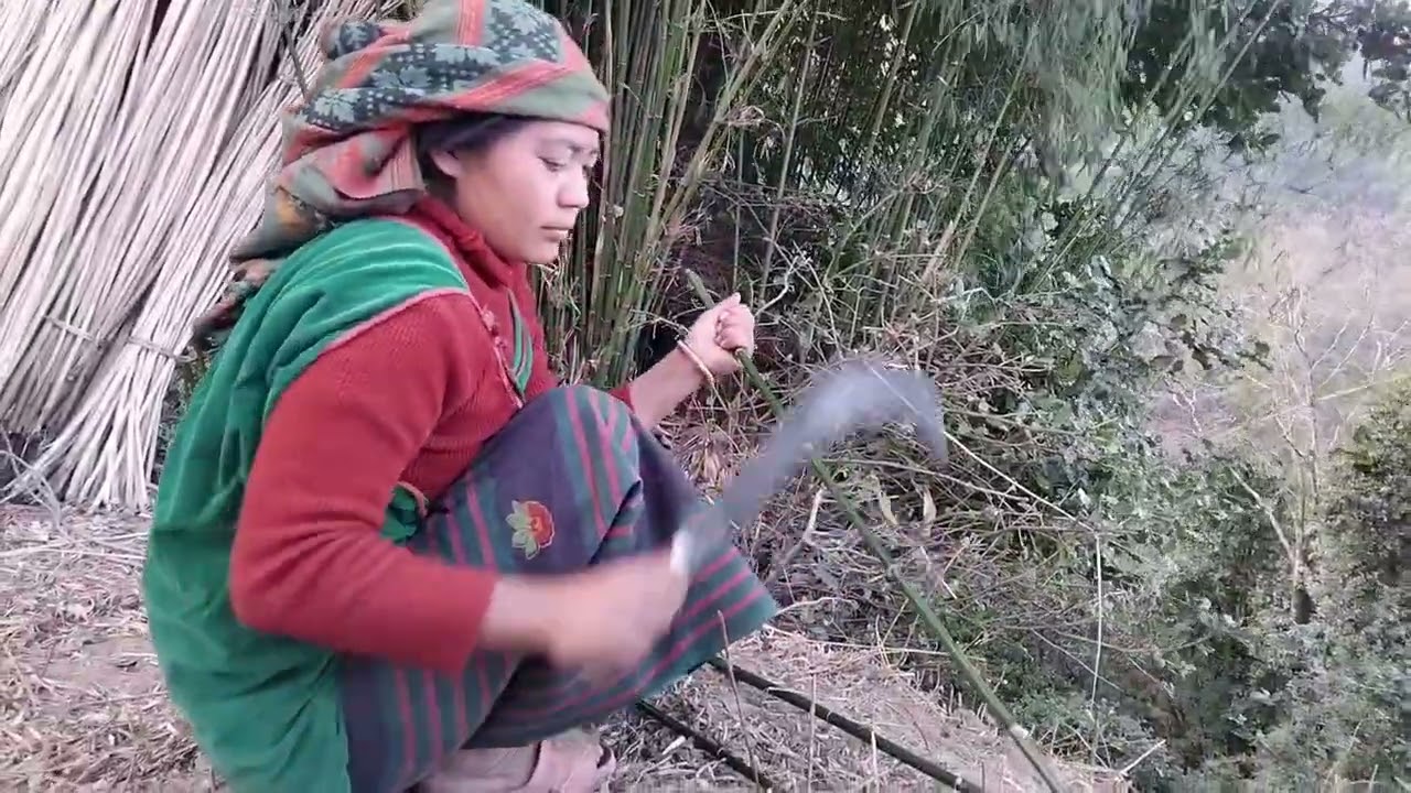 यति धेरै काम गर्नु पर्छ लेकमा साथिहरु॥😢काम गरेर मरिन्छ होला!🤗