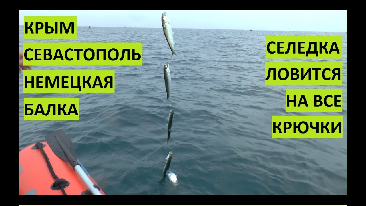 Рыбалка на Черном море. Севастополь. Селедка на все крючки