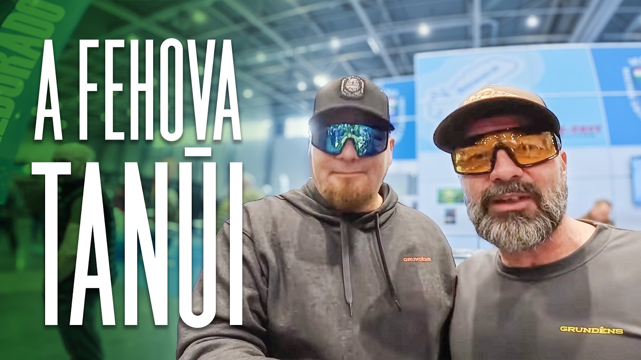 A FeHoVa tanúi
