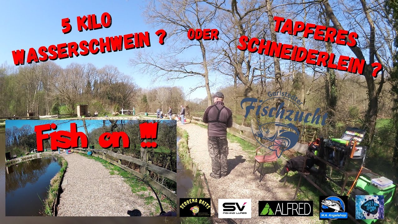 Forellenjagd am Lachsteich in der Garlstedter Fischzucht, von 0°C auf 19°C, beissen Sie ?