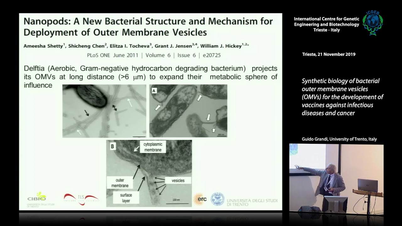 G. Grandi - Synthetic biology of bacterial outer membrane vesicles (OMVs) for the development of...
