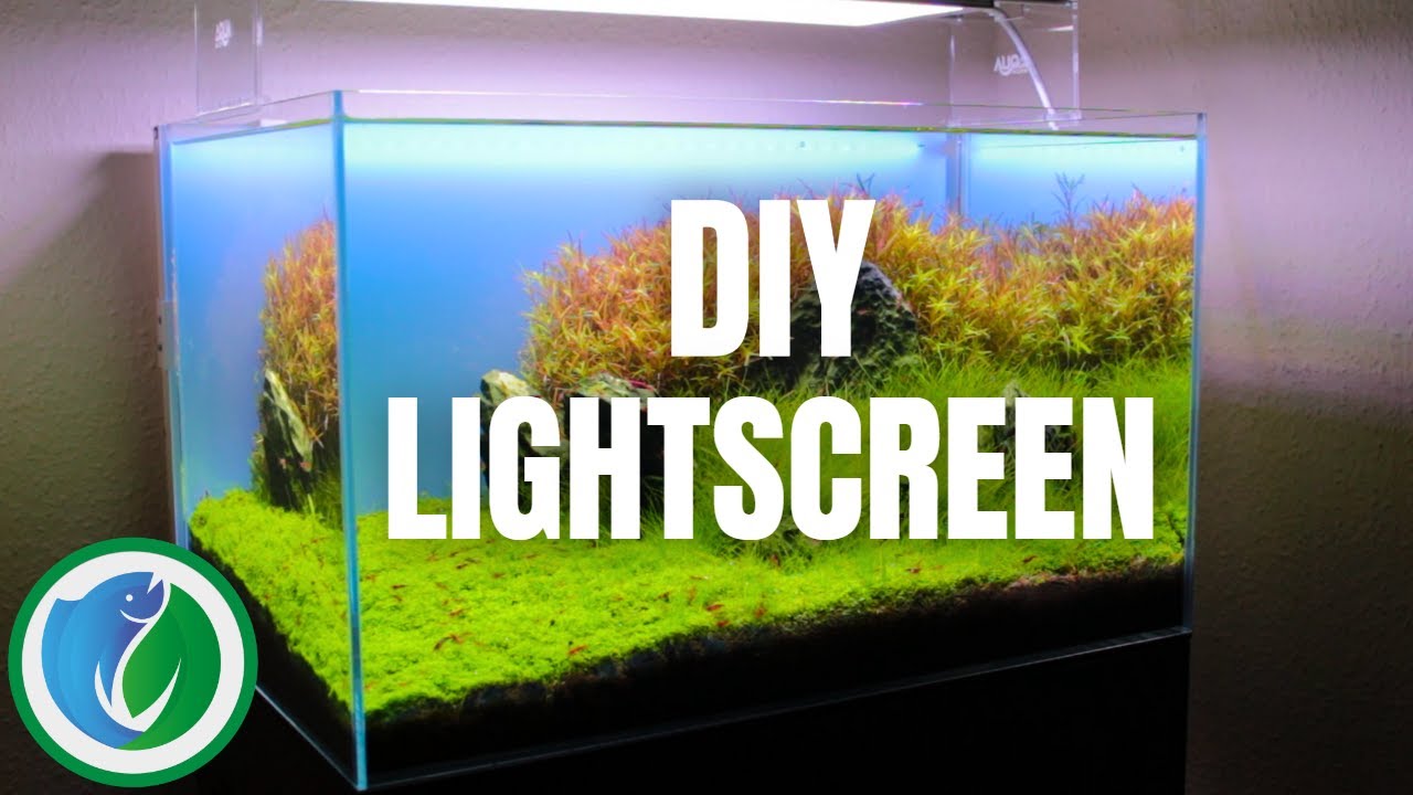 DIY Light Screen für UNTER 70 Euro für dein Aquarium - [Hintergrundbeleuchtung]