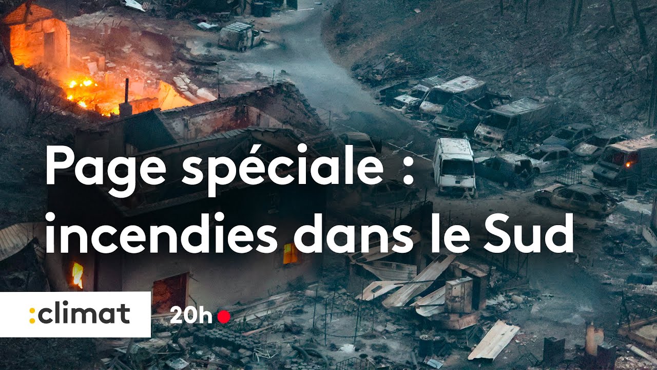Incendies dans le Sud : entre désolation et anticipation