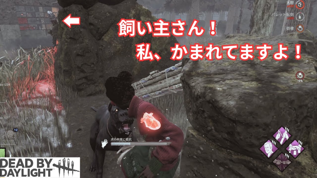 【DBD】イキりモレル、犬の散歩おばさんに襲われる