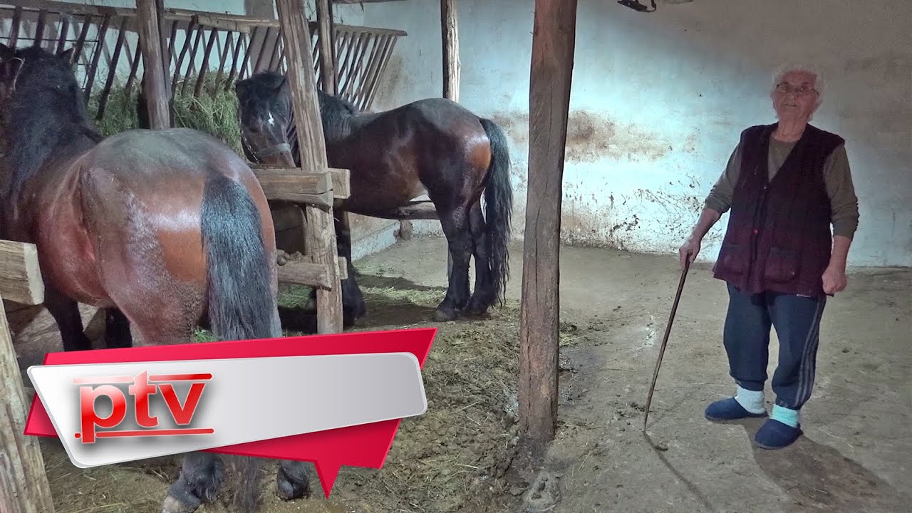 ''Ćaća, meni je on srcu mio, ako hoćeš odobri, ako nećeš, ja ću sa kapije!''
