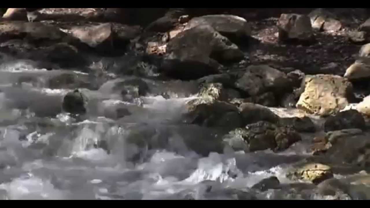 Las fuentes ufanas, un espect&aacute;culo de la naturaleza cada primavera en Mallorca