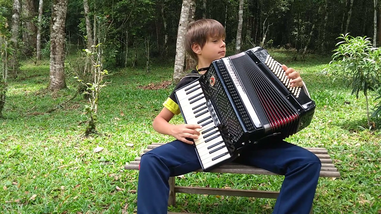 chuvisqueiro,Honeide Bertussi