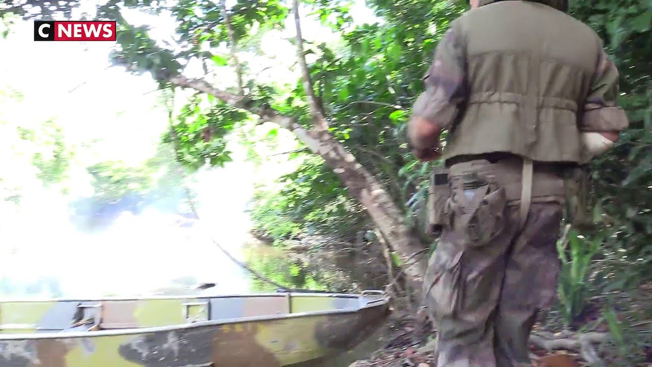 L'or vert en danger : l'armée française au cœur de l'Amazonie