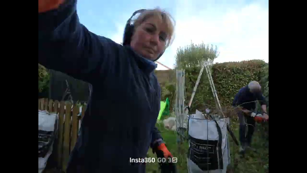 Virginia creeper and Ivy removal and hedge trimming. 