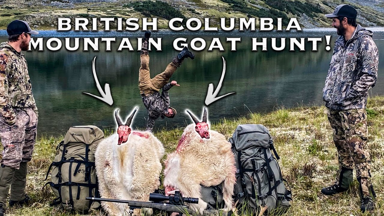 BC MOUNTAIN GOAT HUNT! - (Pt. 1) Billy Goat at 65 Yards!