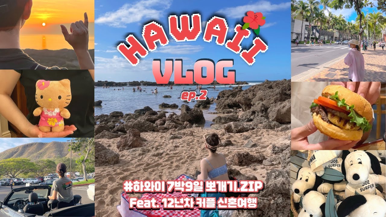 하와이 7박 9일 여행 Vlog🌺Hawaii족보2편.ZIP｜12년차 커플 추천 쥬라기공원 쿠알로아 랜치 액티비티, 샥스코브 스노쿨링,  다이아몬드 헤드 일출, 스누피 서프샵 쇼핑
