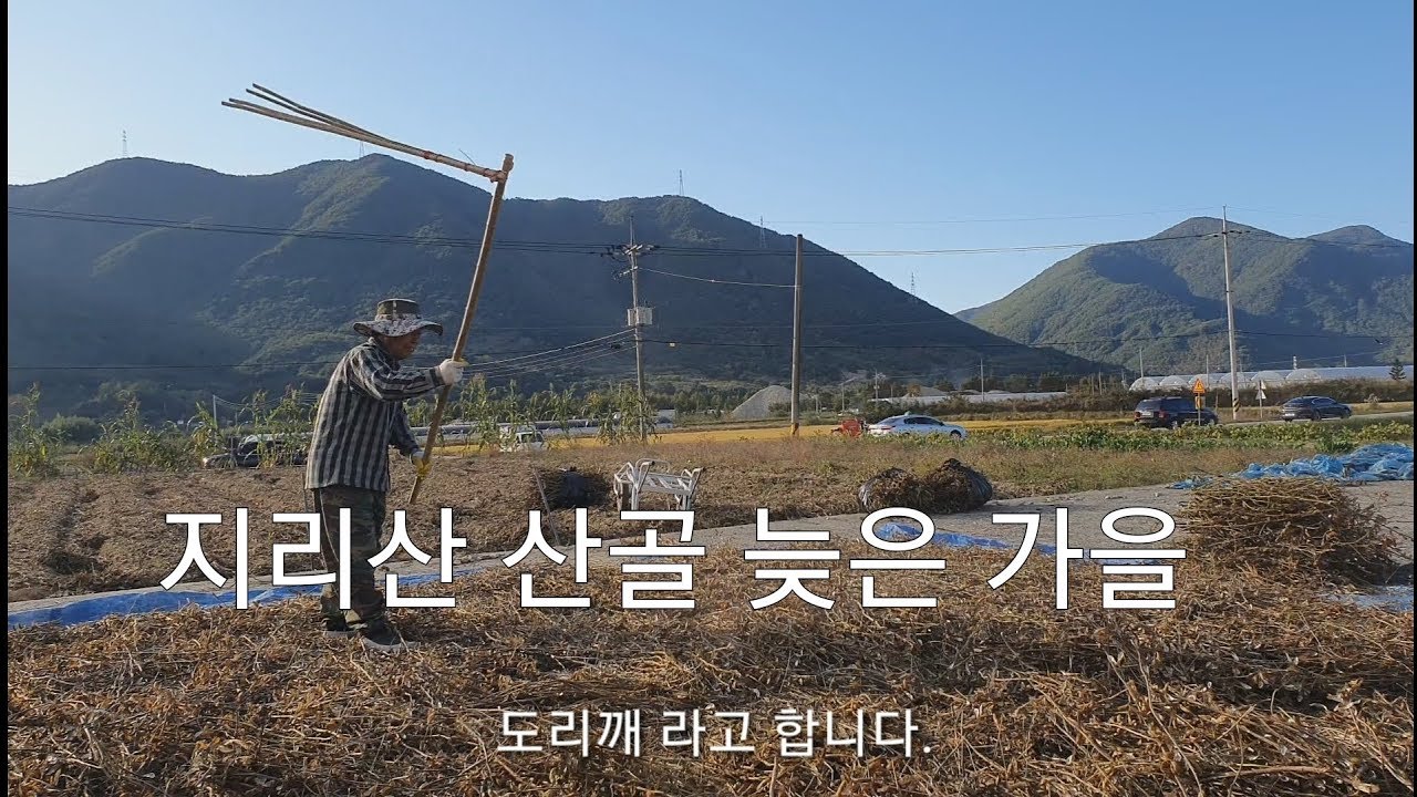 도리깨 콩타작 지리산 산골