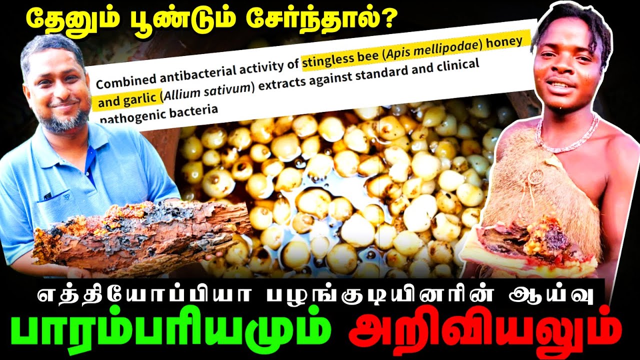 தேனும்🍯 பூண்டும்🧄 சேர்ந்தால்? ETHIOPIA பழங்குடியினரின் ஆய்வு!👨‍🎓