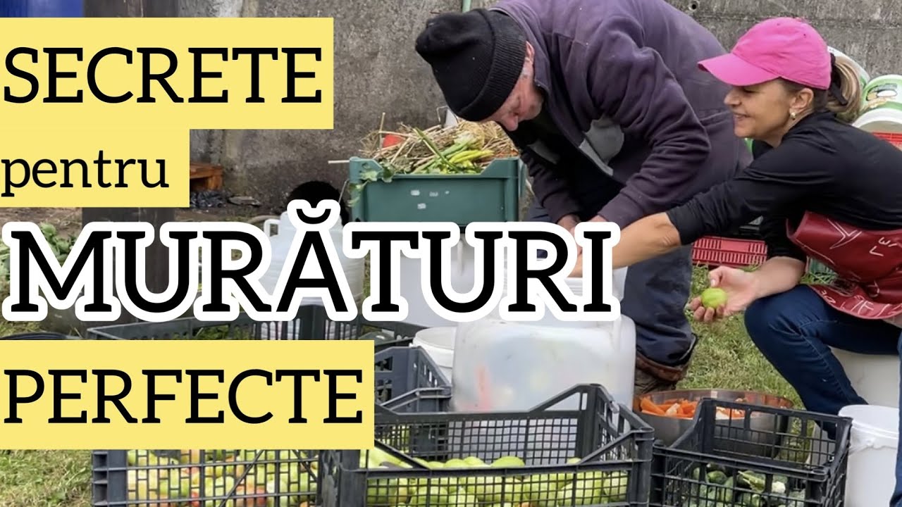 Cum se pun murăturile corect. Secretele lui Bunu pentru murături perfecte