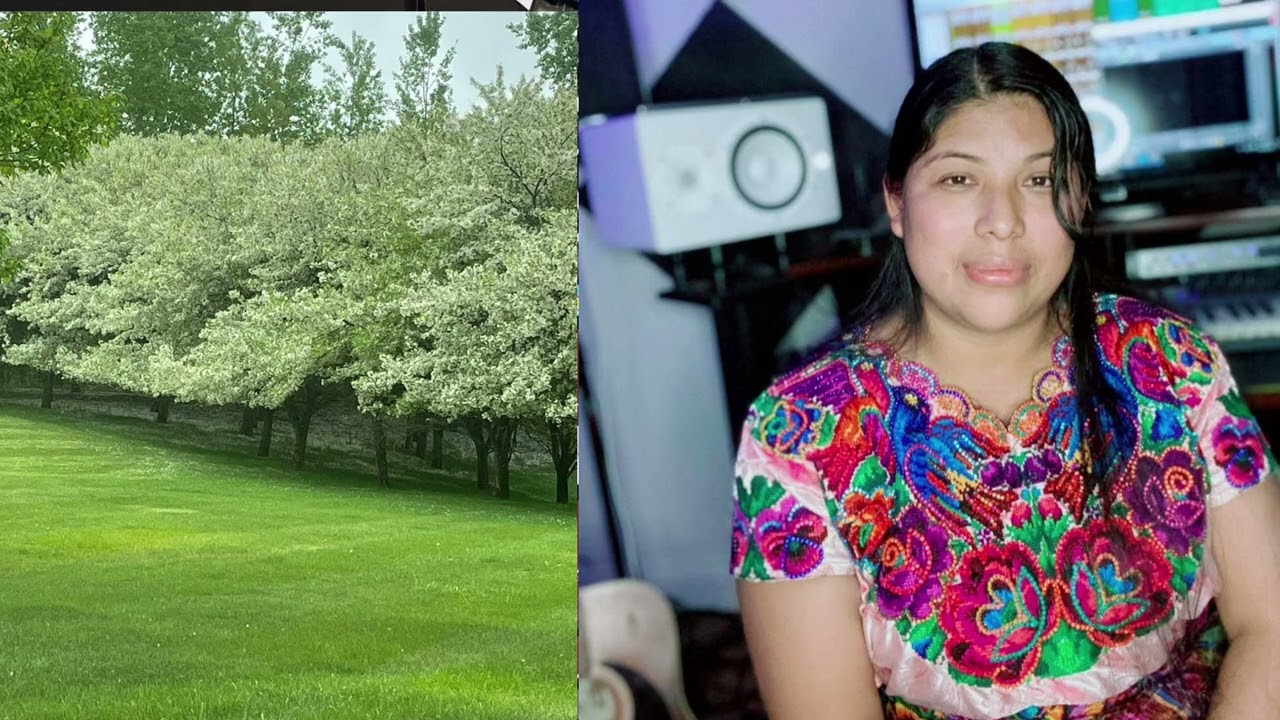 Si Mi Cristo Viniera Hoy