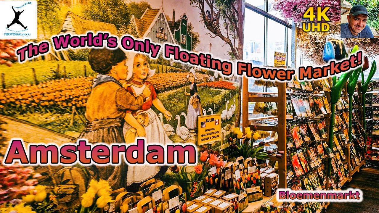 Amsterdam Flower Market Stroll: Bloemenmarkt's Stunning Colors!