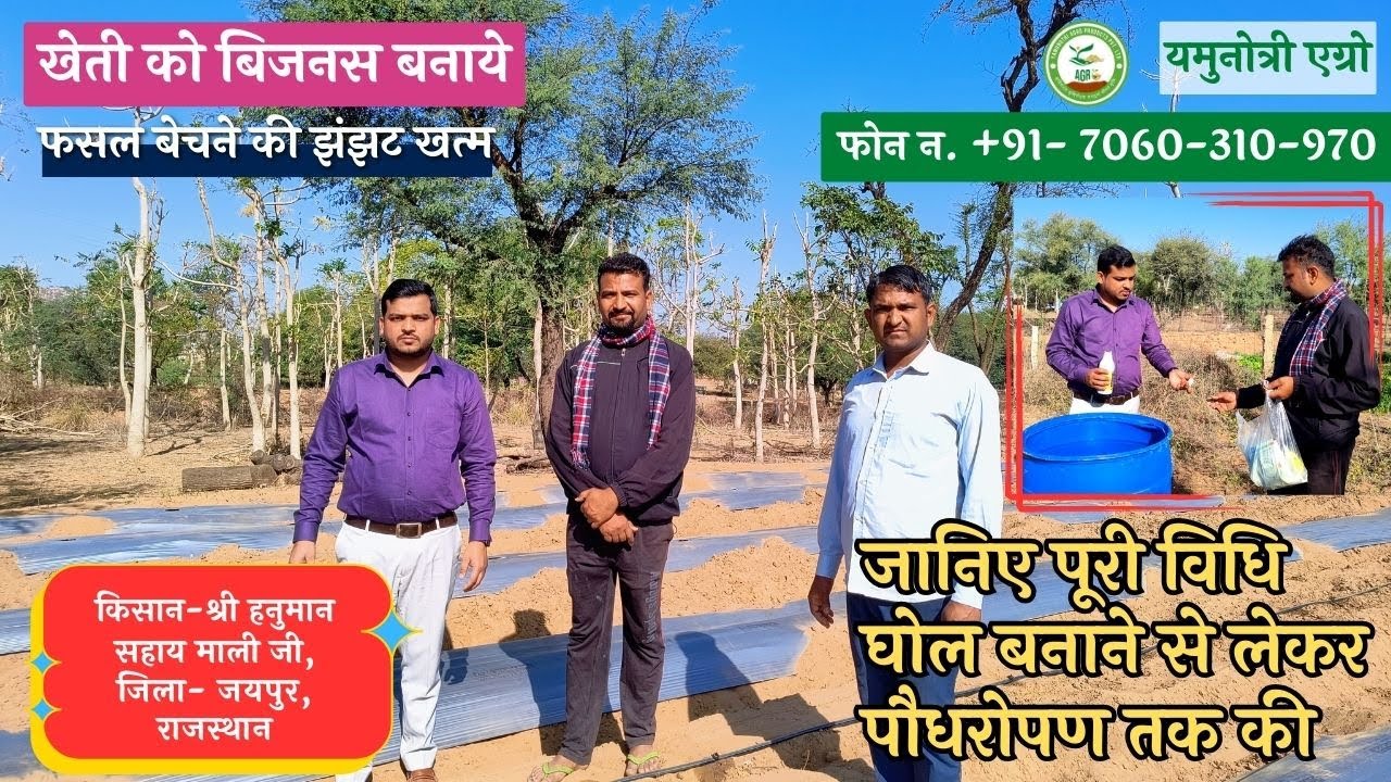 46.जानिए पूरी विधि घोल बनाने से लेकर पौधरोपण तक की, किसान- श्री हनुमान सहाय माली जी, जयपुर, राजस्थान