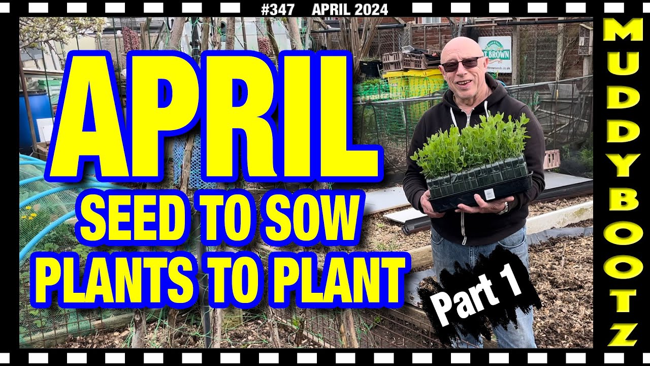 🌻347 🌻 WHAT SEEDS TO SOW IN APRIL 🌻 PLANTING IN APRIL 🌻