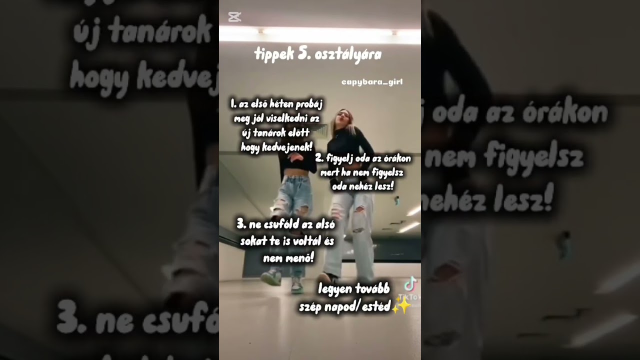 tippek 5. oszt&aacute;lyra