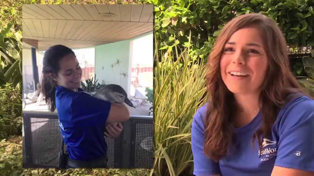 My SeaWorld Journey: Paige | SeaWorld San Diego