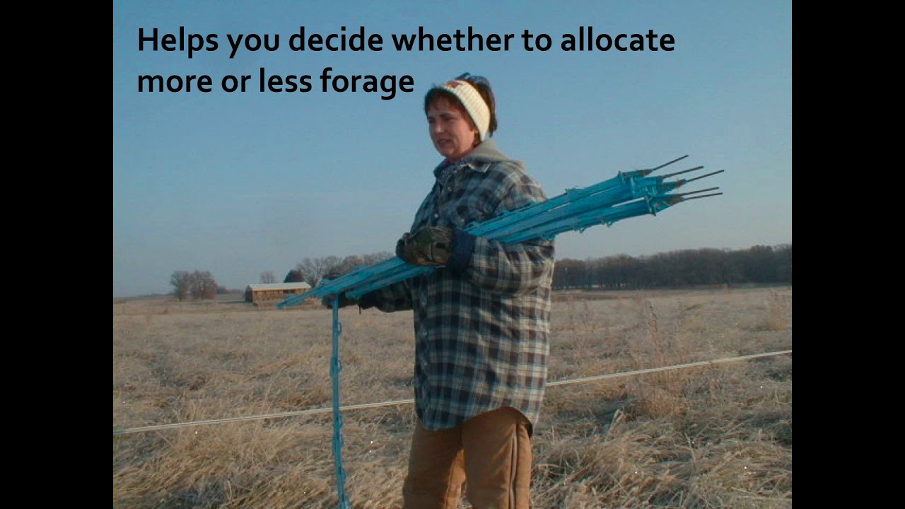 Practical  planning for successful winter grazing-Jim Gerrish