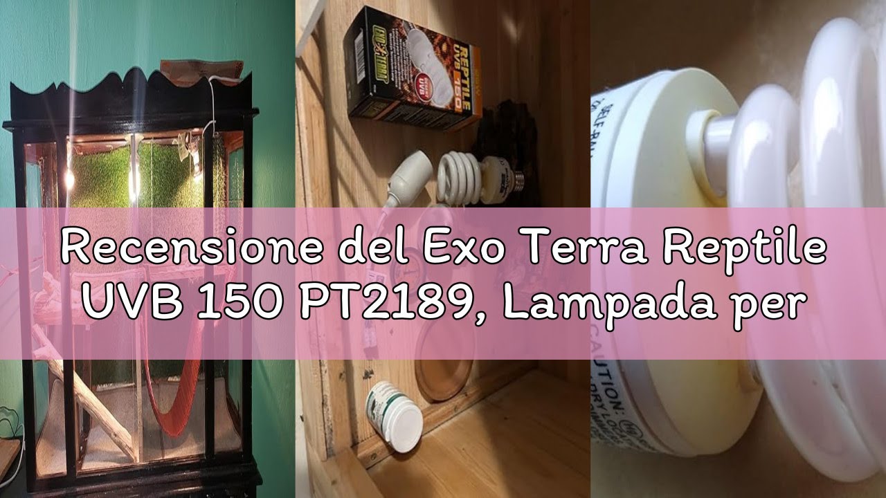 Recensione del Exo Terra Reptile UVB 150 PT2189, Lampada per Terrario Desertico, 25 Watt